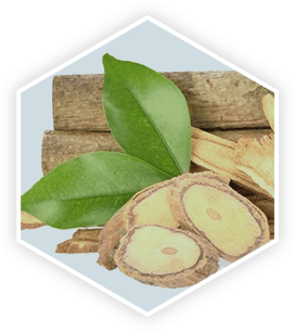 prostavive ingredients – tongkat ali natural prostate support
